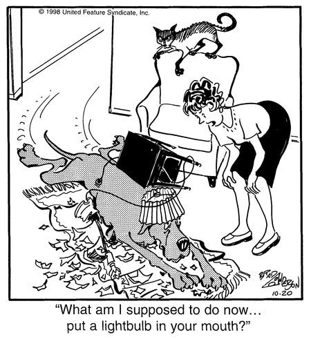 Marmaduke by Brad Anderson