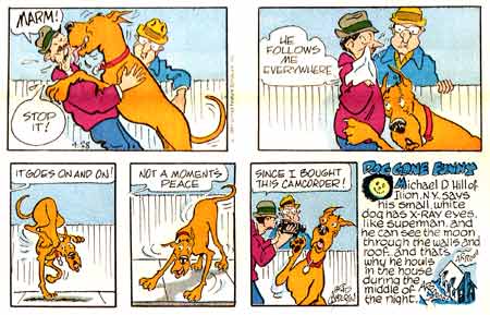 Marmaduke, by Brad Anderson