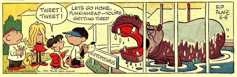 Tiger, by Bud Blake (1965)