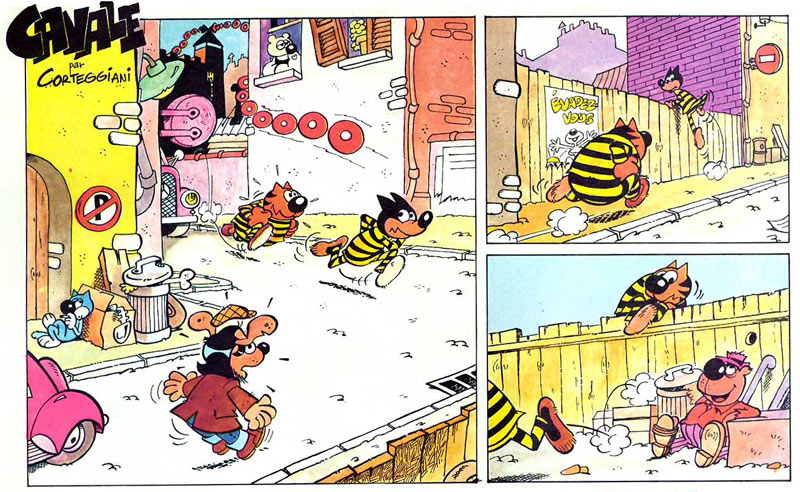 Canale by François Corteggiani