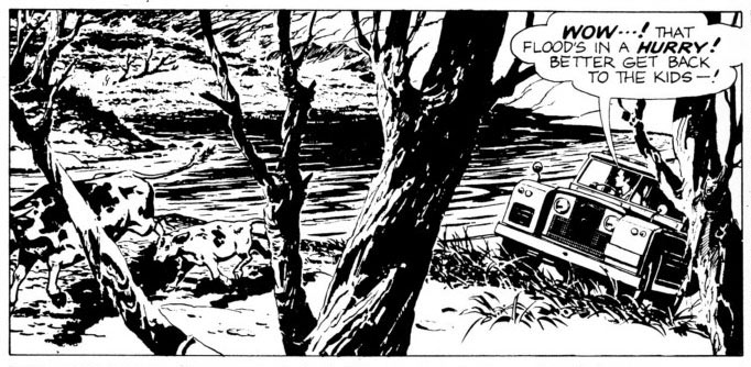 Air Hawk, by John Dixon