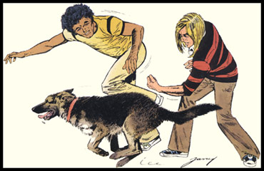 Les Baroudeurs sans Frontière, by Charles Jarry