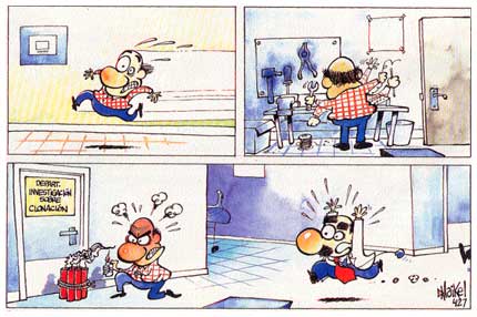 Seguridasosiá, by Maikel