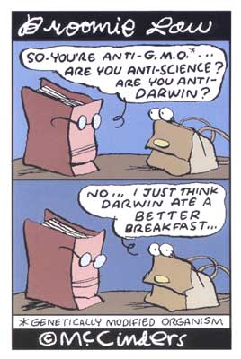 Broomie Law, by Cinders McLeod