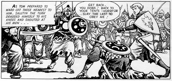 Firebrand by Pat Nicholle