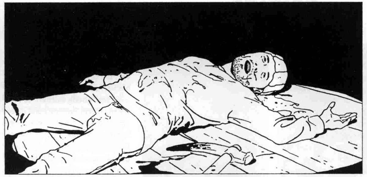 Icebound by Erika Raven