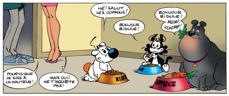 Bidule by Michel Rodrigue