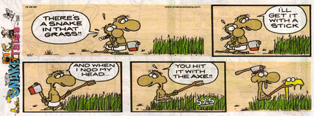 Snake Tales by Allan Salisbury